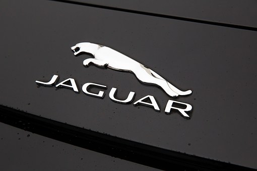 jaguar-1076207__340