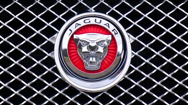 jaguar-1660955__340