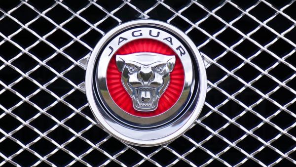 jaguar-1660955__480