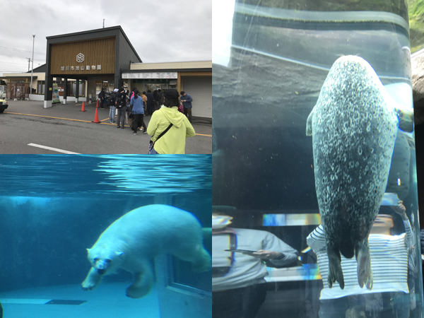 asahiyamazoo01