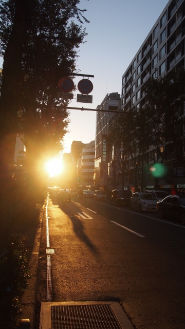 夕日が眩しくて路面が見えない