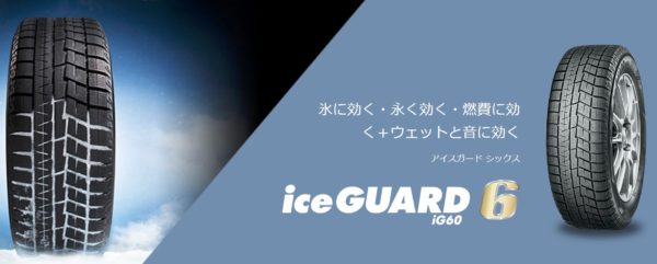 iceguard6