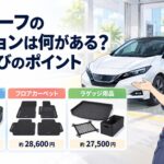 新型リーフと充電ケーブルやフロアカーペットやラゲッジ用品を並べて主要オプション価格を比較するイメージ