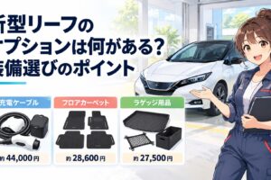 新型リーフと充電ケーブルやフロアカーペットやラゲッジ用品を並べて主要オプション価格を比較するイメージ